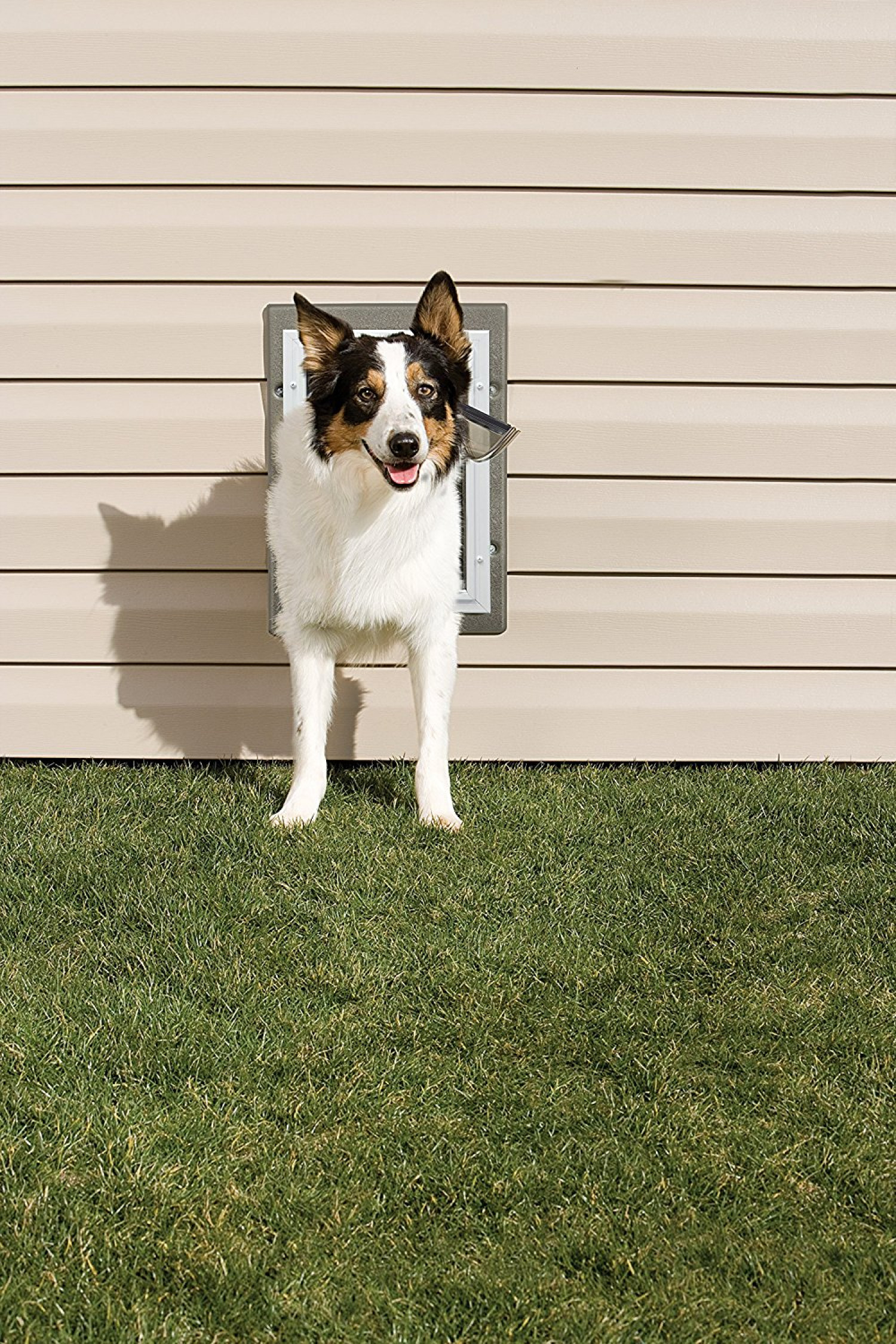 Wall Entry Pet Door for Dogs Cats DIY Telescoping Tunnel Double Flap